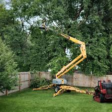 Seasonal Cleanup (Spring/Fall) in Clayton, GA